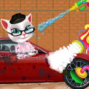 Angela Limpeza de carros