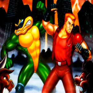 Battletoads y Double Dragon