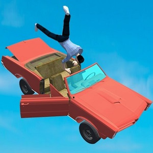 Carro Flip!