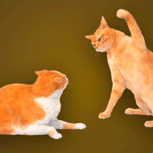Katzen-Meme-Klicker