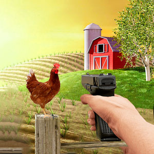 Hühner-Shoot