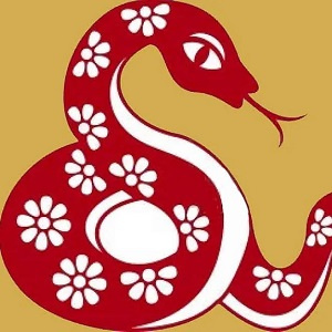 Змейка: Китайский Новый Год