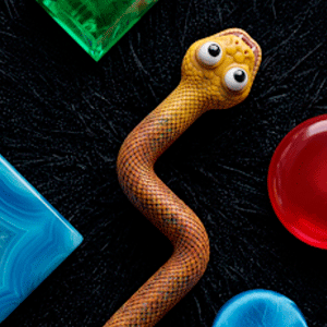 Color Snake Run