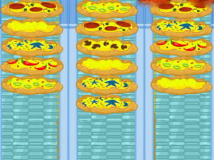 Crazy Pizza game play free online