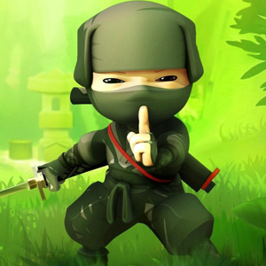Epicki ninja