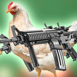 Maschinengewehr Huhn