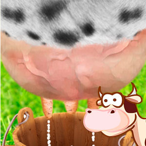 Milk The Cow