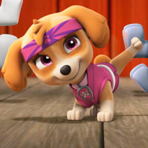 Paw Patrol Pup-Fu!