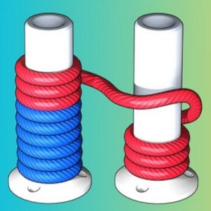 Clasificación por color de cuerda 3D