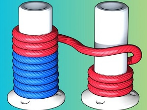 Rope Color Sort 3D game play free online