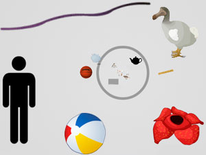 The Scale Of The Universe 2 Online Game Play Free Online