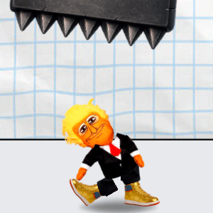 Trump the Ragdoll