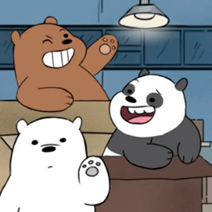 Nós Bare Bears: Ursos Encaixotados