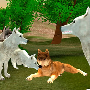 Ataque de hambre de lobos salvajes
